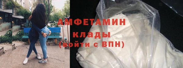 стаф Аркадак