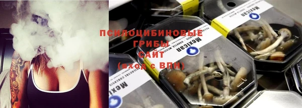 индика Арсеньев