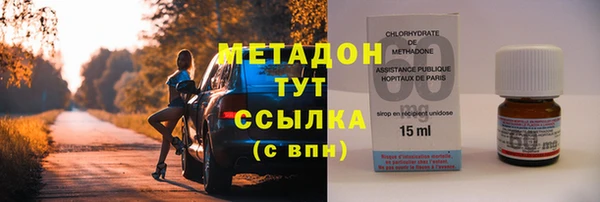 индика Арсеньев