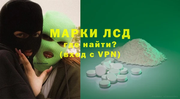 индика Арсеньев