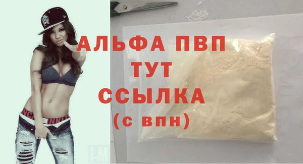 стаф Аркадак