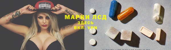 стаф Аркадак