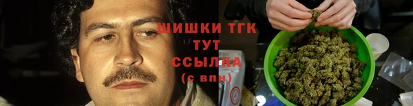 индика Арсеньев