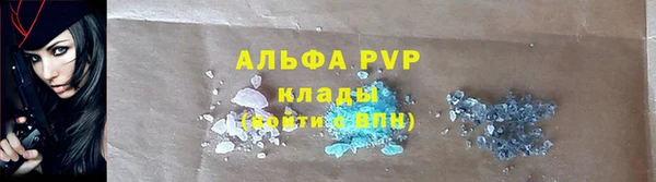 стаф Аркадак