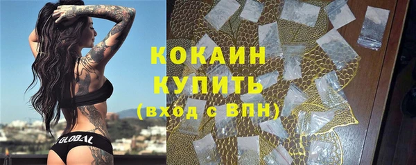 стаф Аркадак