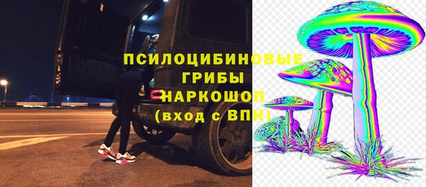 стаф Аркадак