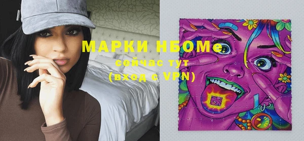 индика Арсеньев