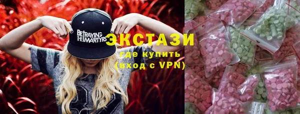 индика Арсеньев