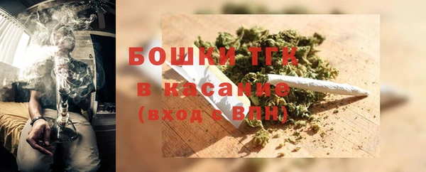 стаф Аркадак