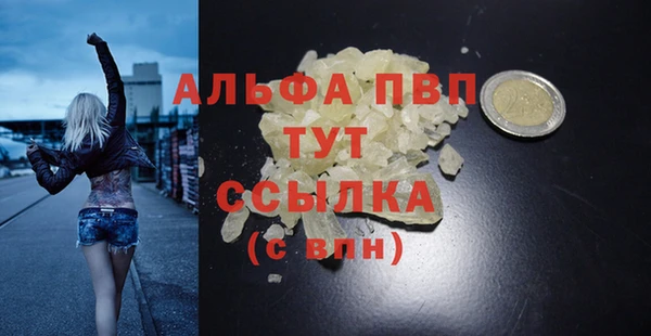 индика Арсеньев