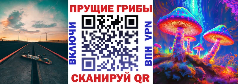 Купить закладки  Кремёнки  Псилоцибиновые грибы Psilocybe 